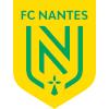 南特 南特